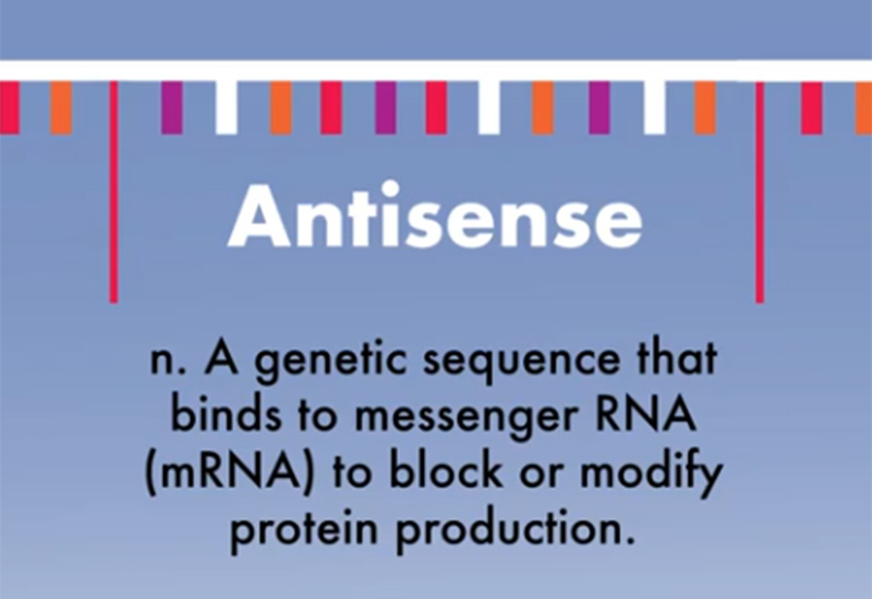 Antisense: A genetic sequence that binds to messenger RNA to block or modify protein production.